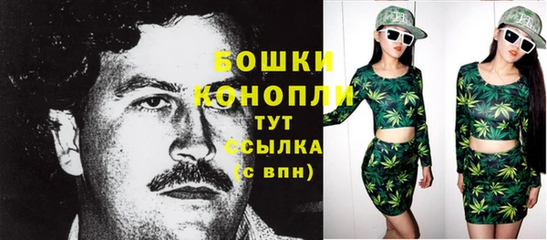 эйфоретик Елизово