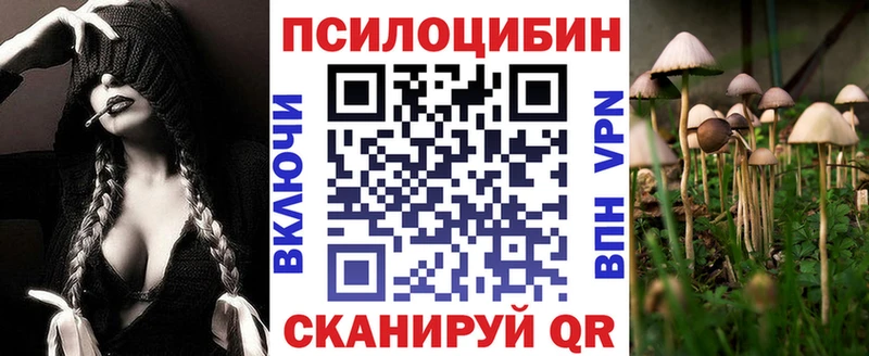 Купить  Черепаново  Галлюциногенные грибы Magic Shrooms 